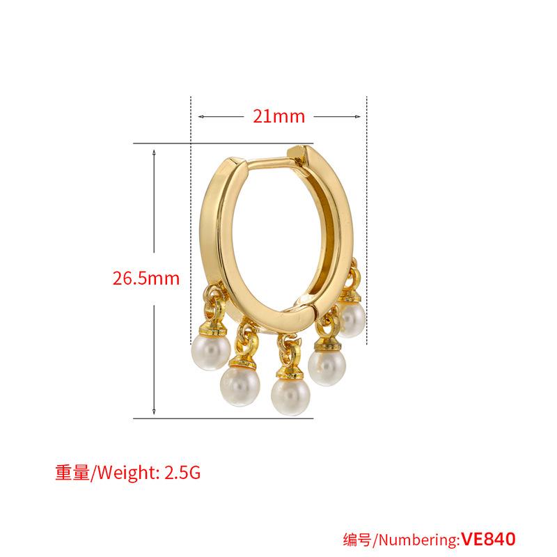 New French-style Small Tassel Pendant Hoop Earrings